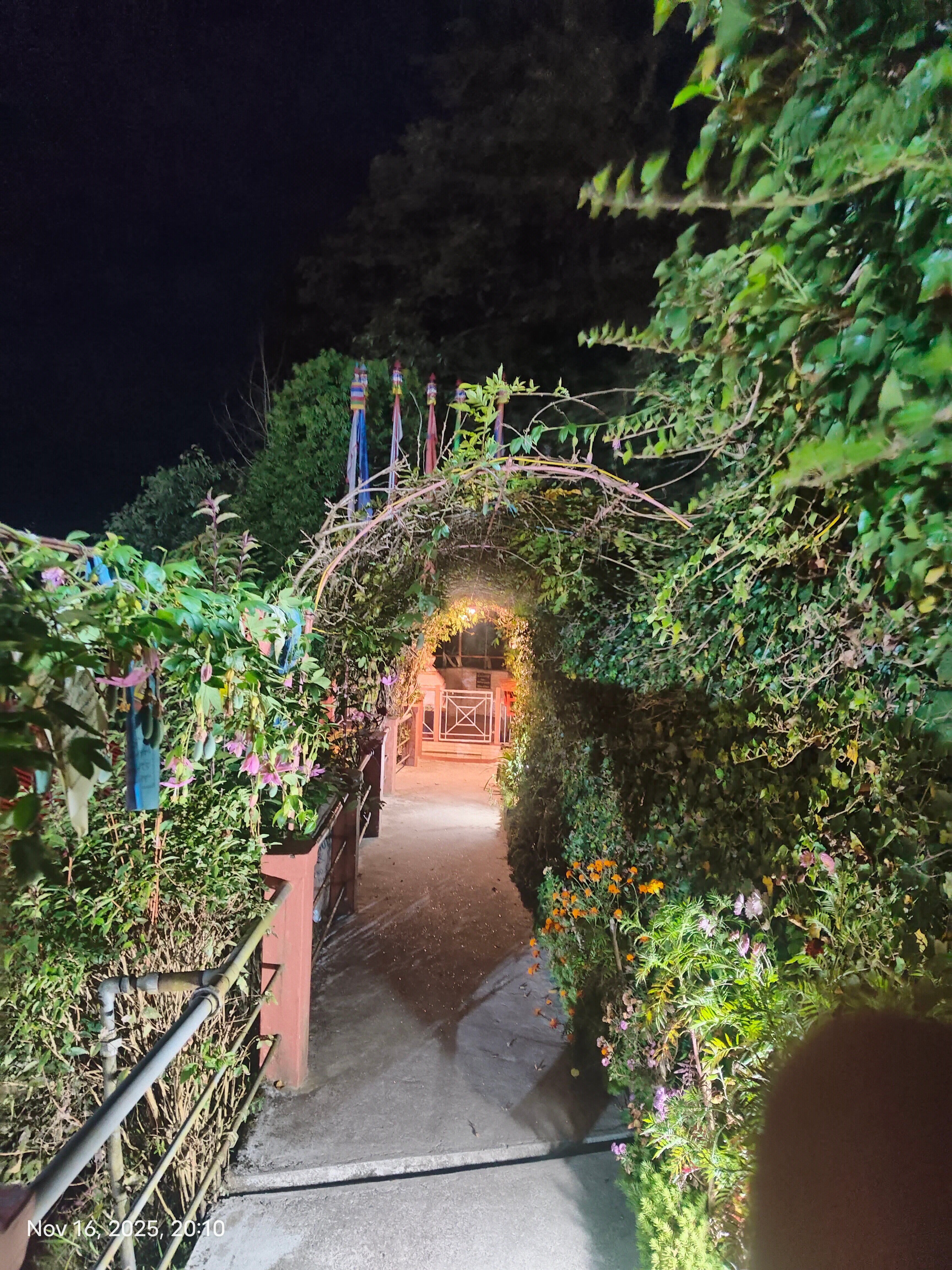 Little Singamari HomeStay-浴室