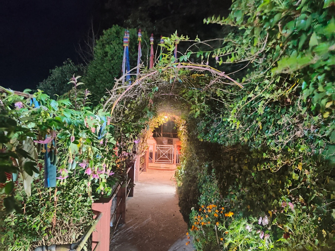 Little Singamari HomeStay主图