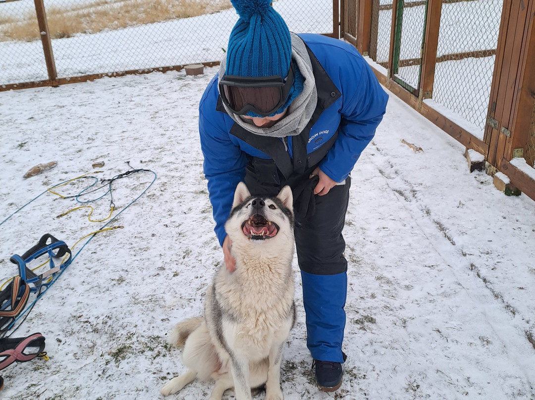 Snow Dogs-米湖必去景点