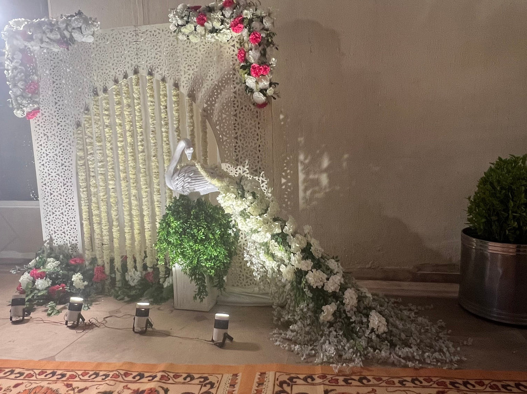 斋浦尔绿党酒店主图