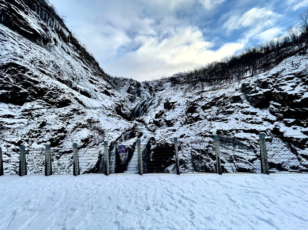 Kjosfossen Waterfall-Myrdal必去景点