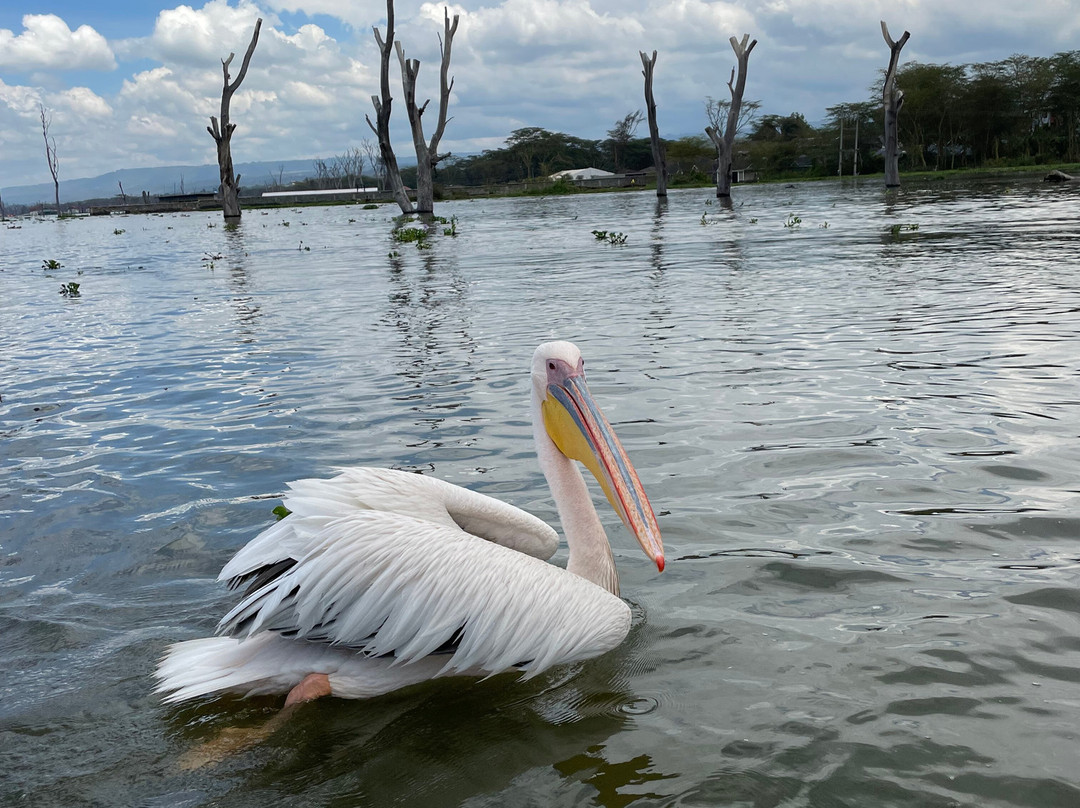 Endless Thrill Adventures-内罗毕必去景点