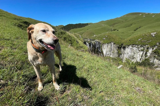 Cachoeira do Perau Branco-Sao Jose dos Ausentes必去景点