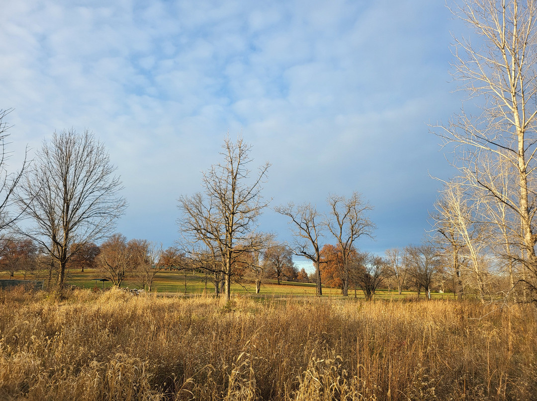 Stephens Lake Park-哥伦比亚市必去景点