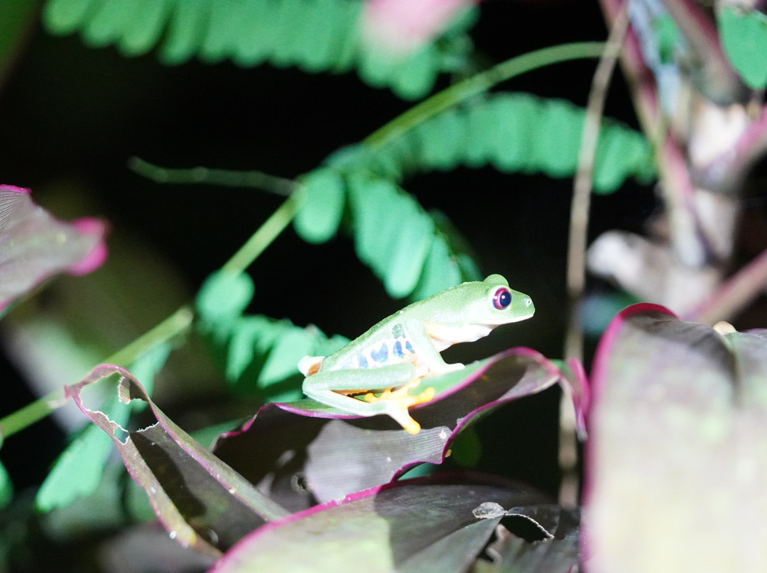 Tarantulas Way-卡维塔必去景点