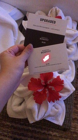 The Westin Resort & Spa Ubud, Bali主图