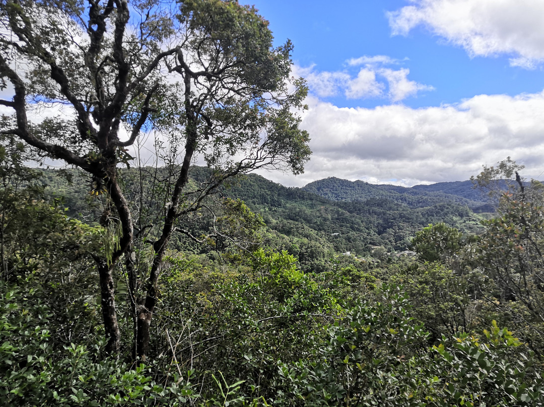 Viro Nomads Travel Co.