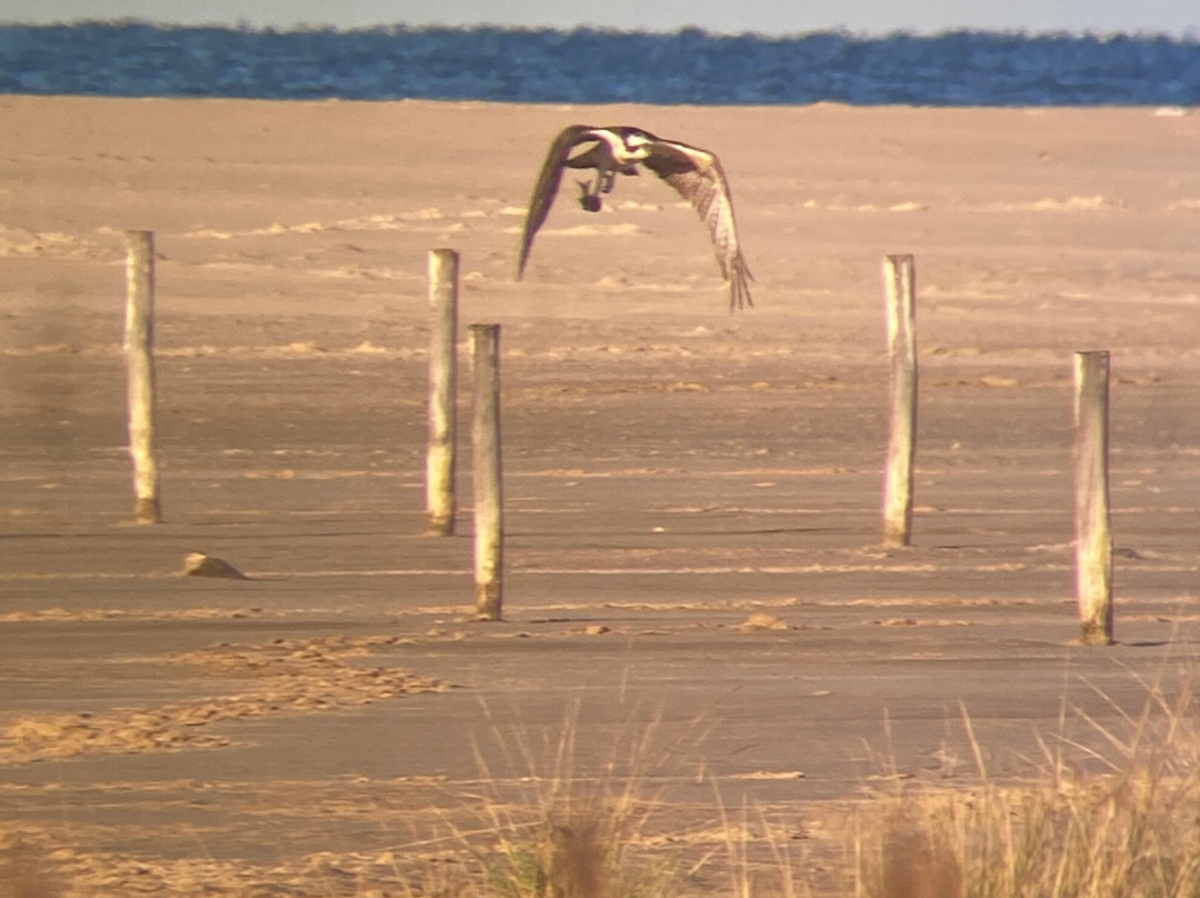 Birding The Strait-塔里法必去景点