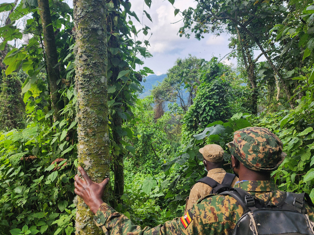 Africa Adventure Safaris-坎帕拉必去景点