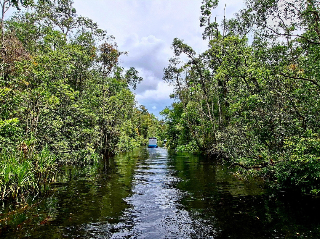 Local Guides - Tanjung Puting-Pangkalan Bun必去景点
