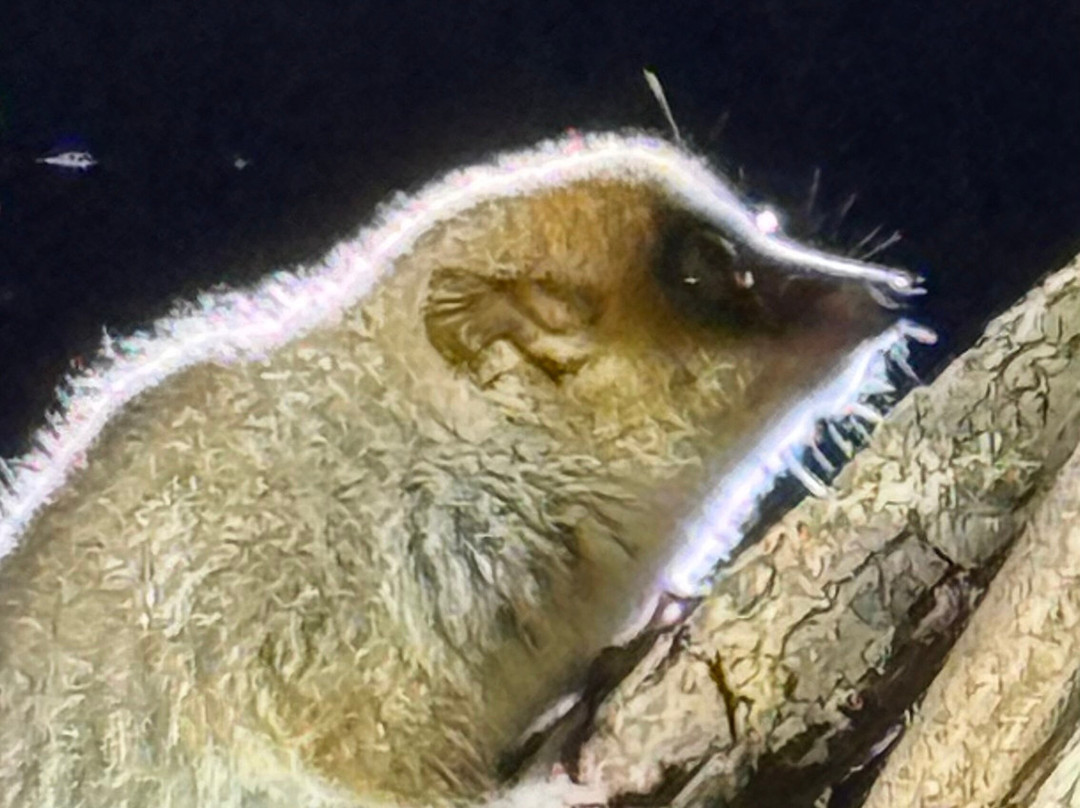 Madarako Tours-安塔那那利佛必去景点