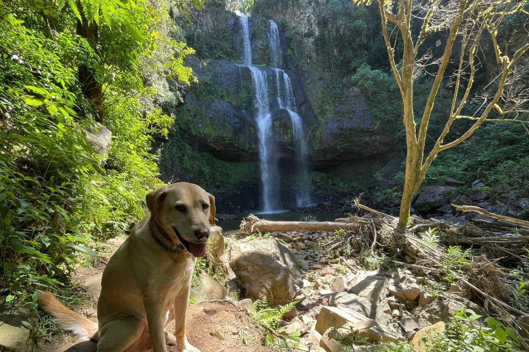 Cascata da Baleia-Ilopolis必去景点