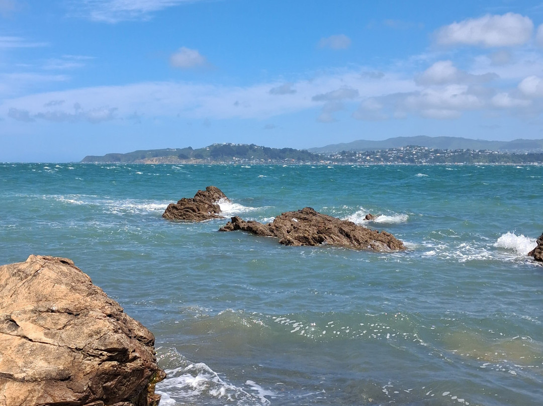 Pencarrow Coastal Trail-惠灵顿必去景点