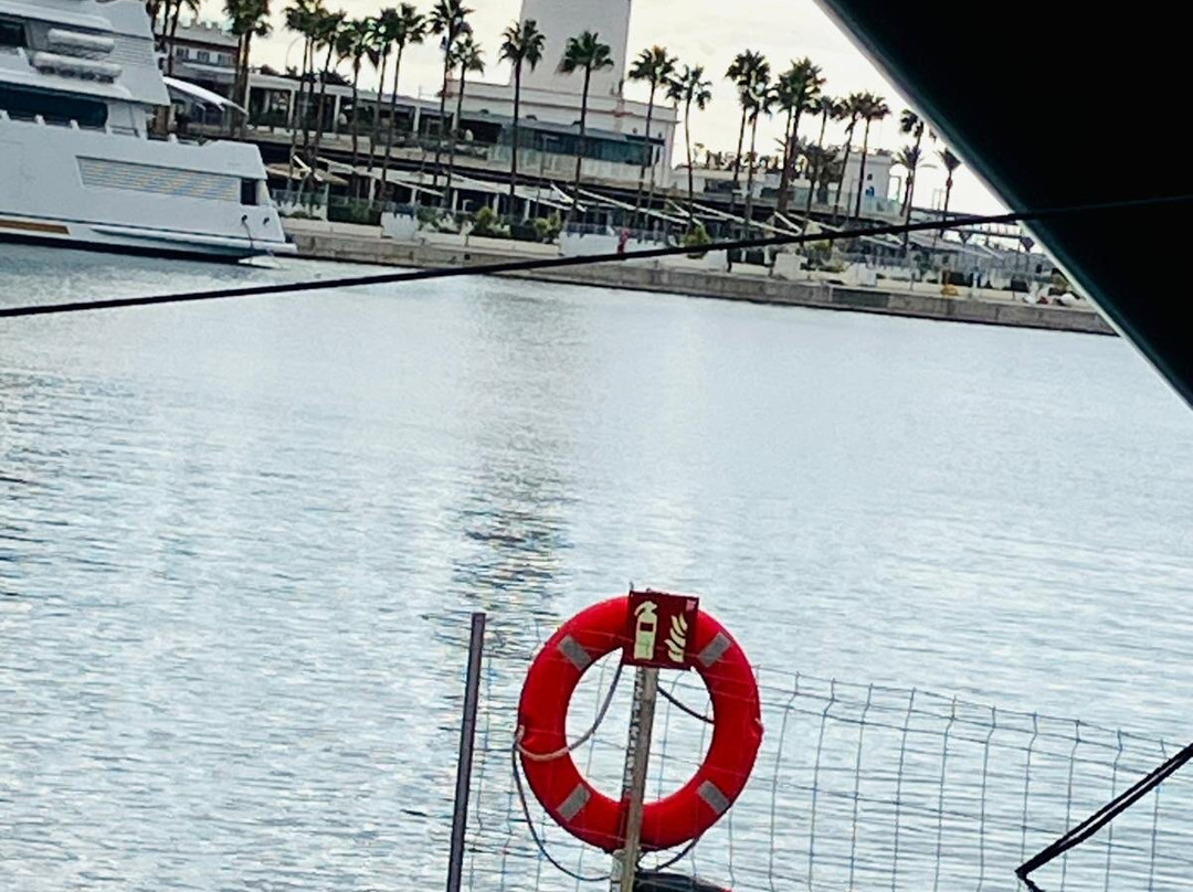 Palmeral de las Sorpresas-马拉加必去景点