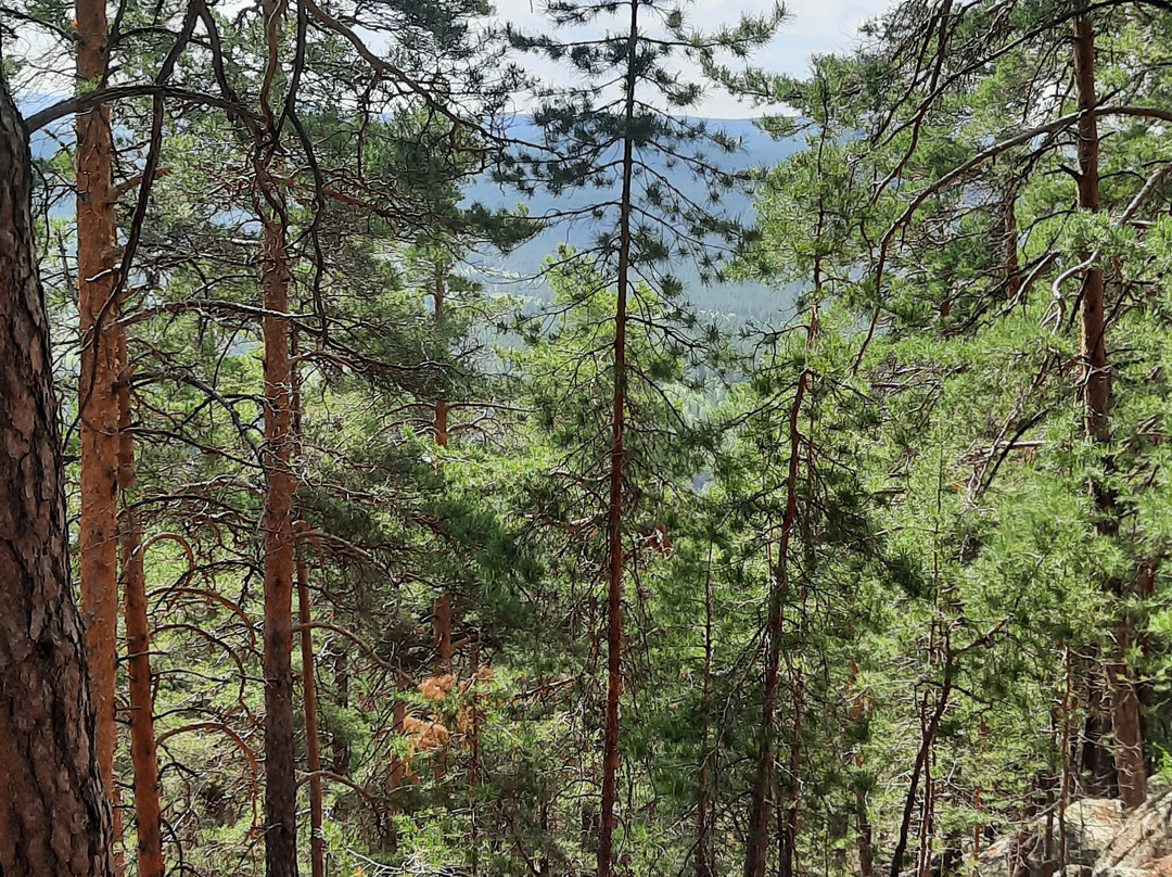 Victoria Cinema-摩德纳必去景点