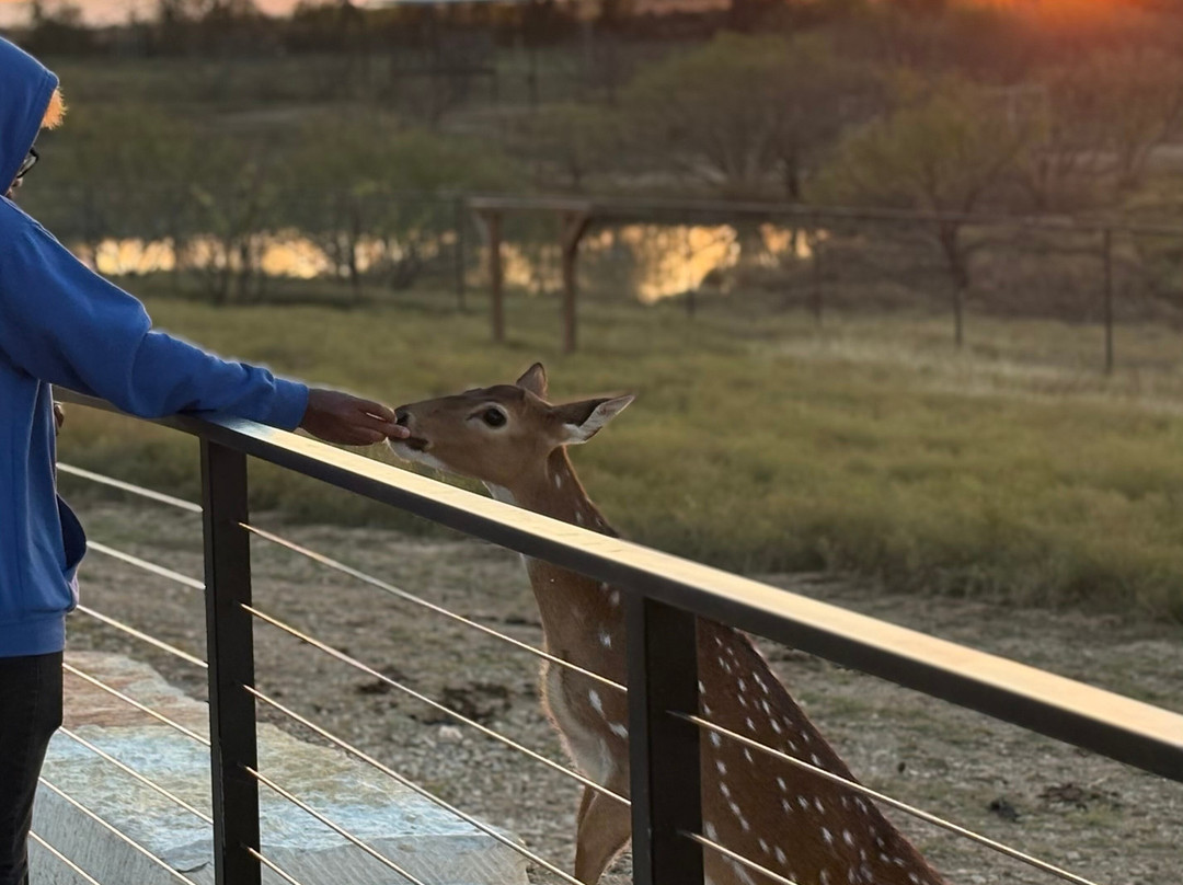 Blue Hills Ranch主图