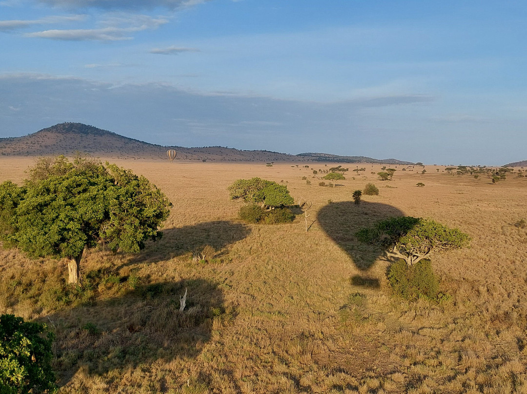 Predators Safari Club-阿鲁沙必去景点