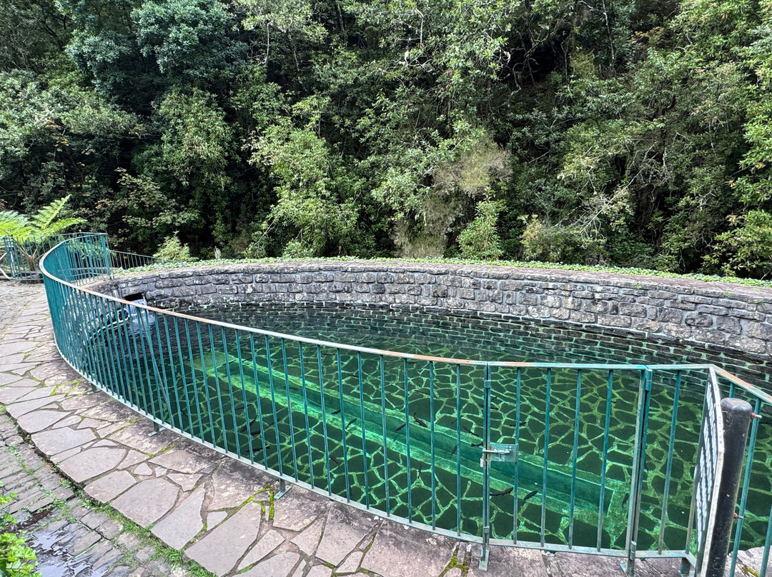 Posto Aquicola do Ribeiro Frio-Santana必去景点