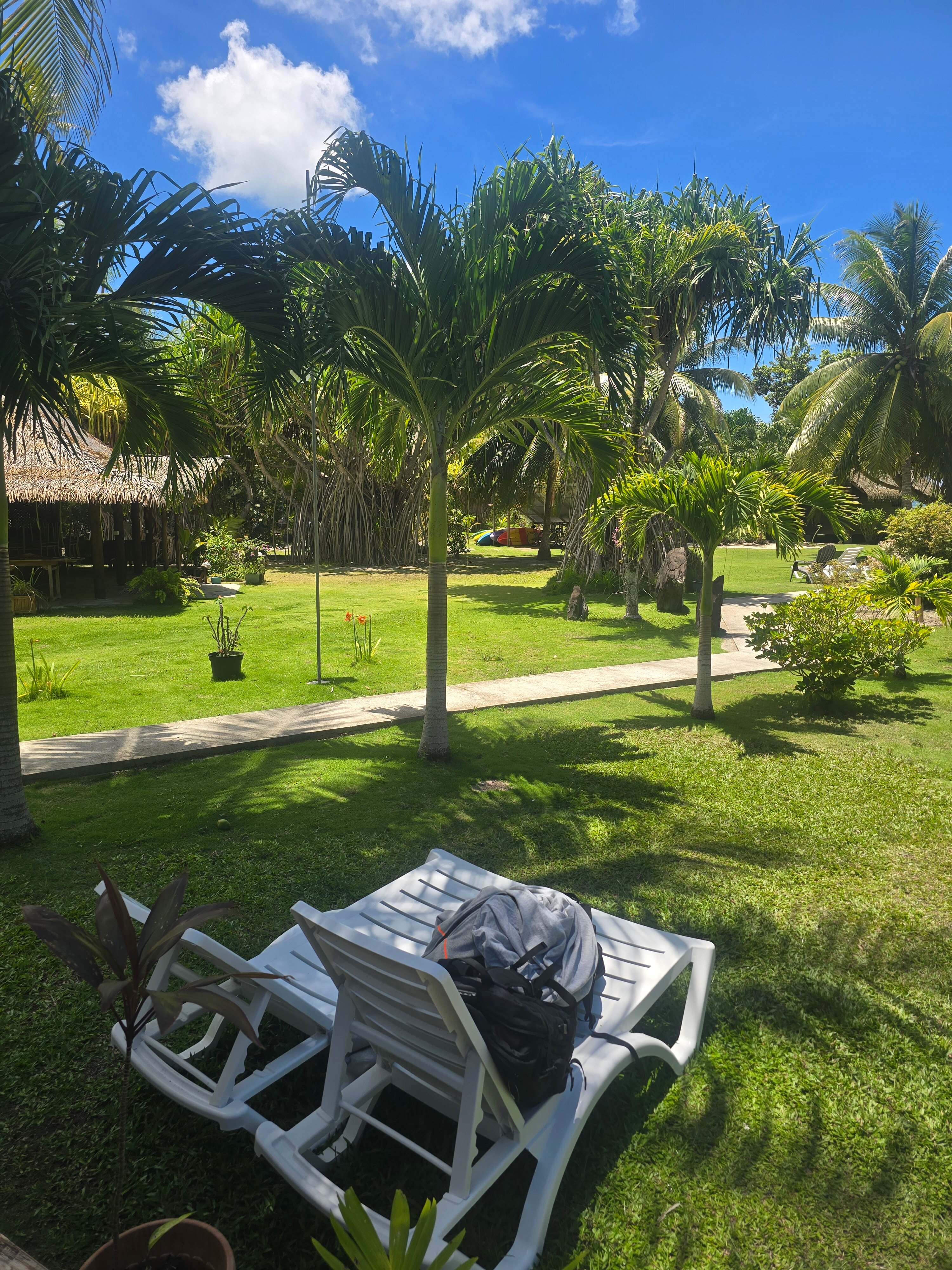 Moana Lodge-酒店景观