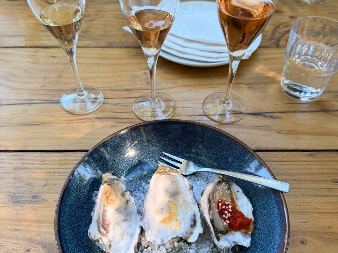 Franschhoek Wine Tram-法兰舒克必去景点