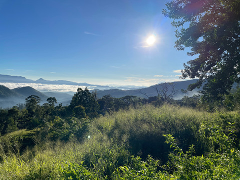 Teardrop Journeys-Rajagiriya必去景点