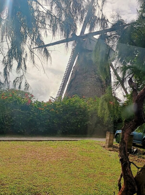 Ted's Tours-Hastings必去景点