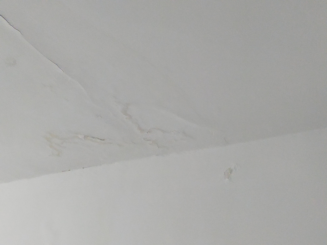 Hotel Tamasite主图