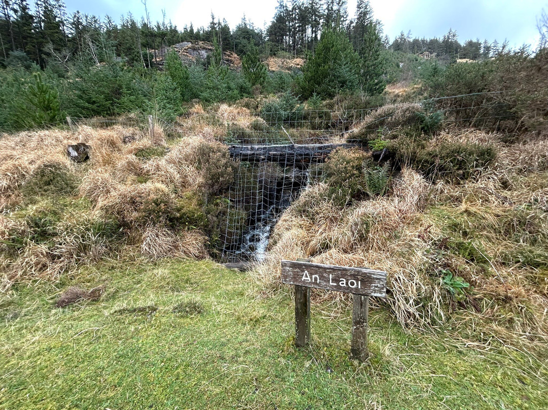 高登巴拉公园-Gougane Barra必去景点