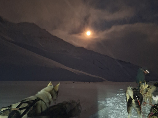 Basecamp Explorer Spitsbergen-朗伊尔城必去景点