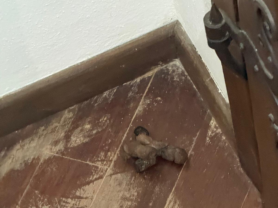 Relais Casale Il Poggetto主图