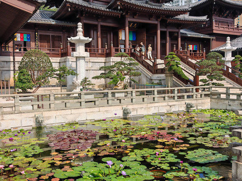 CHINA Vistas Hong Kong-香港必去景点