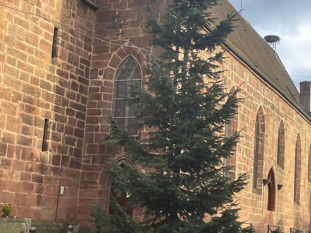 Église de l'Assomption-de-la-Bienheureuse-Vierge-Marie de Bergheim-贝格海姆必去景点