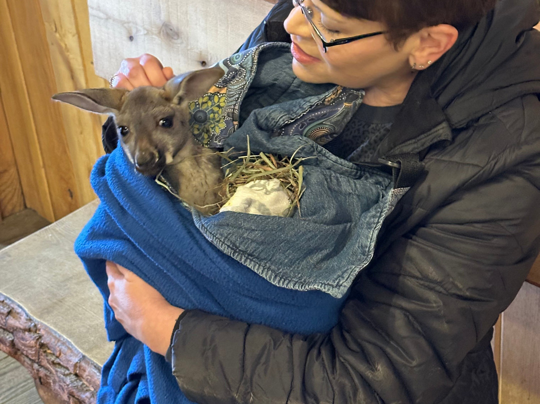 Keystone Safari-格罗夫城必去景点