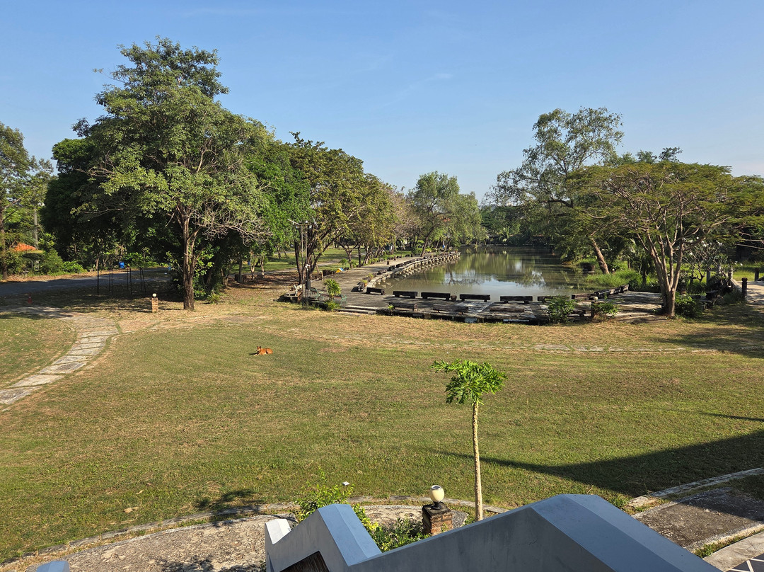 Siamese Fighting Fish Gallery-帕巴登必去景点