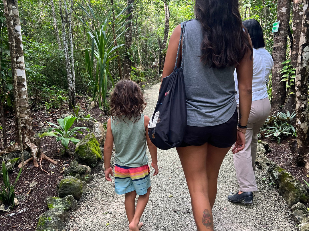 Mayan Bee Sanctuary-San Miguel de Cozumel必去景点