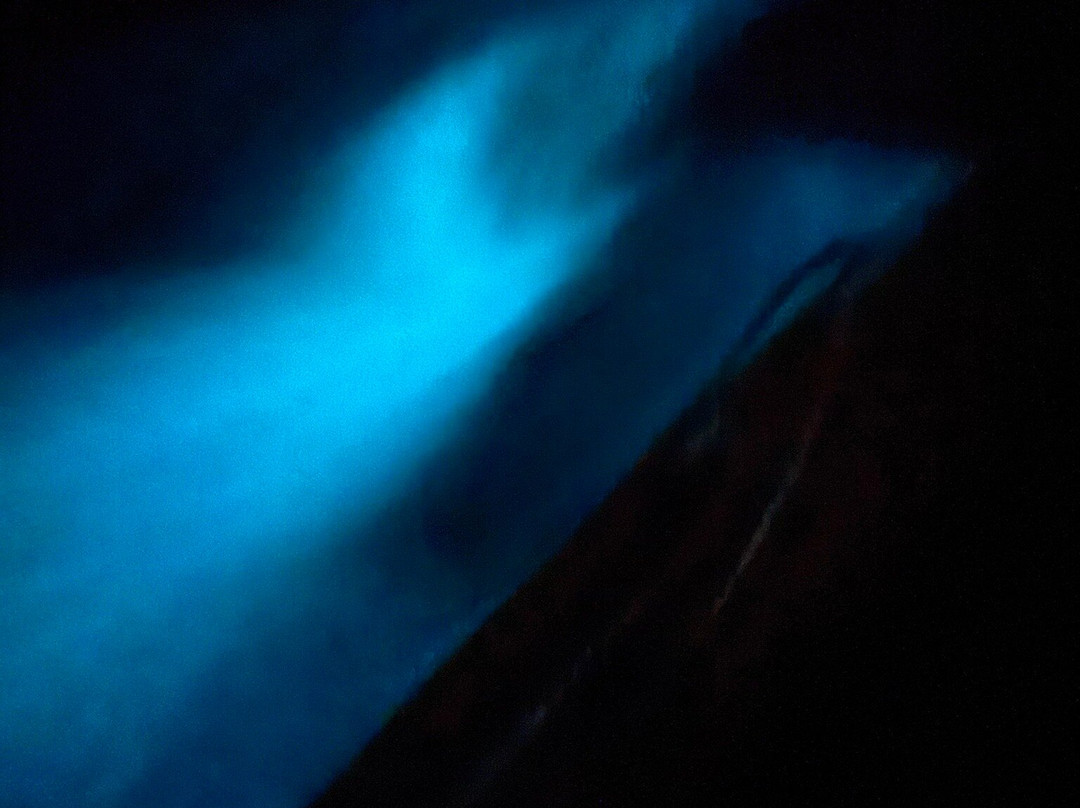 Abe's Snorkeling and BioBay Tours-维切克岛必去景点