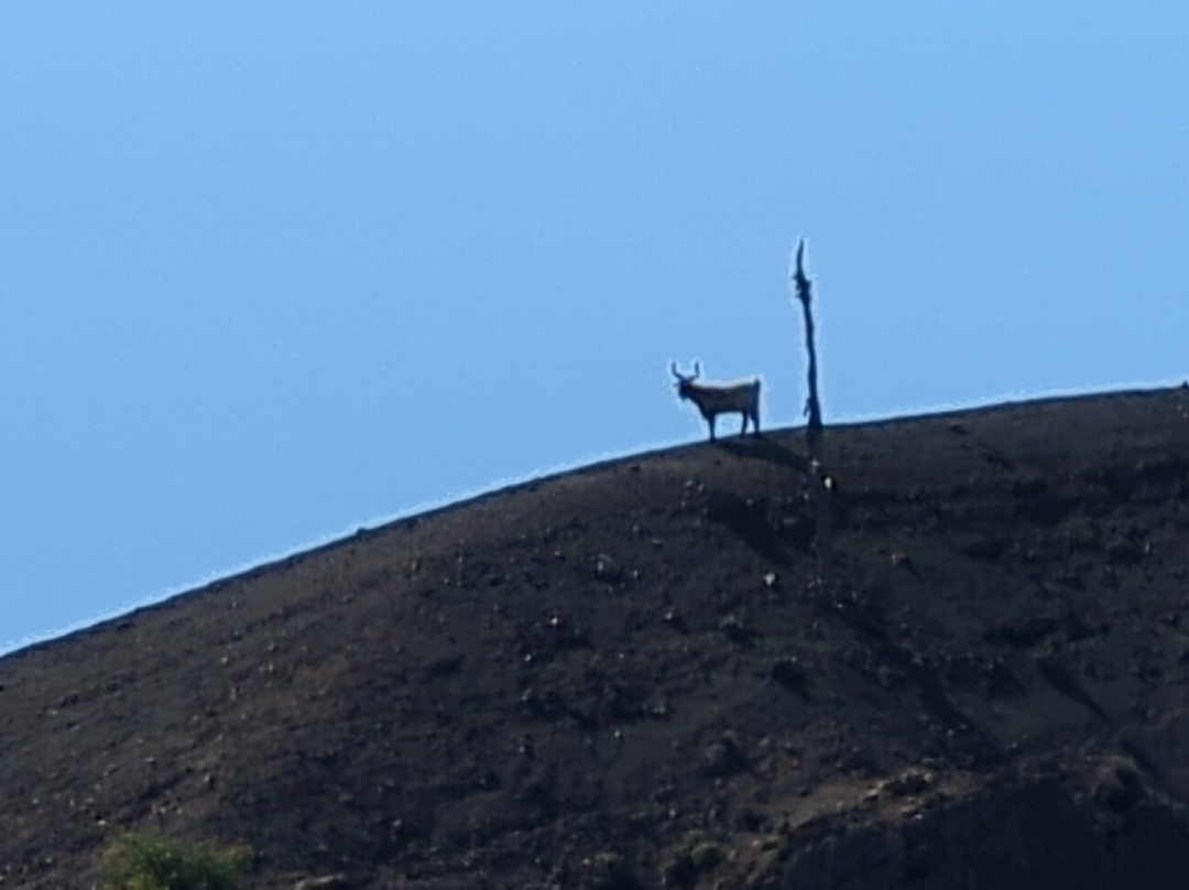 Ruta de Los Volcanes-La Palma必去景点