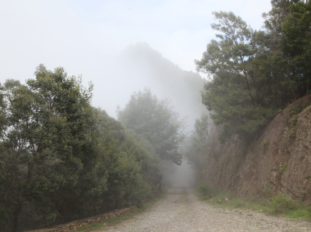 Porto Novo-Ribeira Grande Road-Porto Novo必去景点