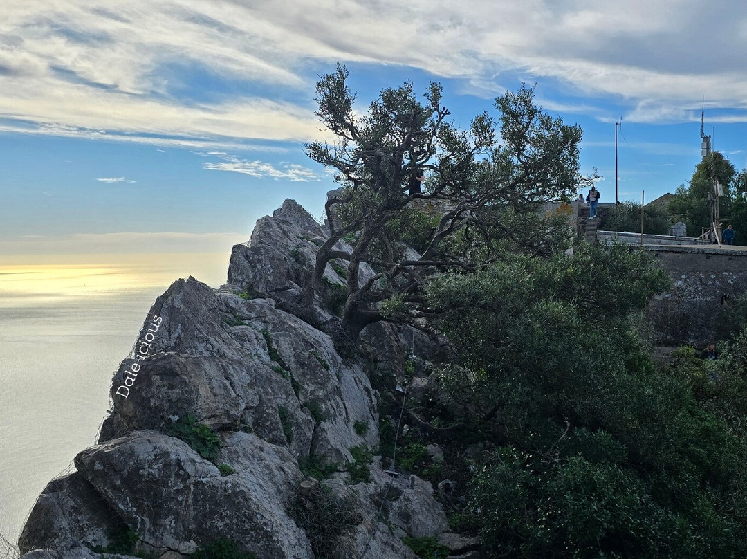 Gibraltar Upper Rock Nature Reserve-直布罗陀必去景点