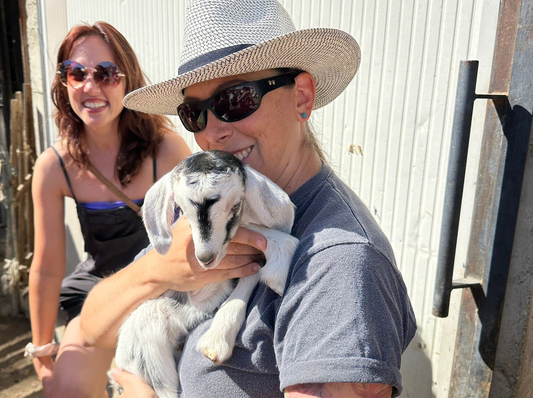 My Bella Vita Travel-卡坦扎罗必去景点