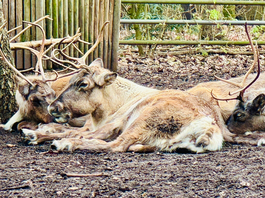 Zoo Basel-巴塞尔必去景点
