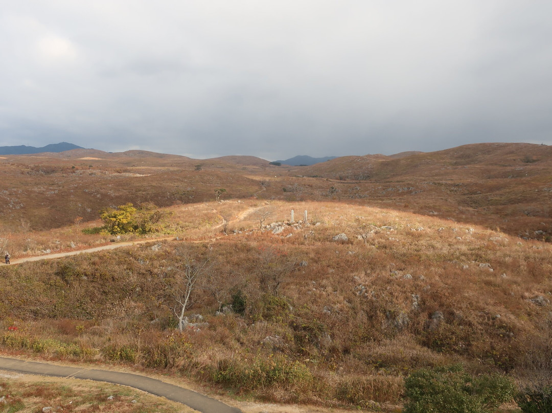 秋吉台喀斯特展望台-美祢市必去景点