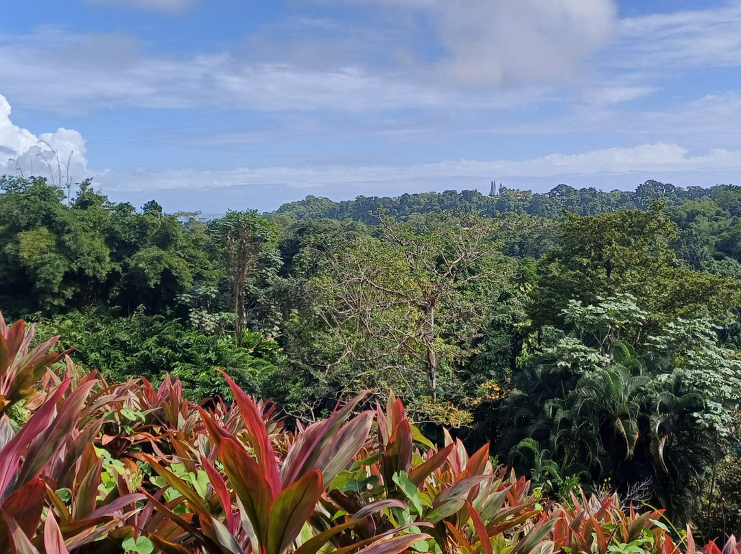 Jardin Botanique de Valombreuse-Petit-Bourg必去景点