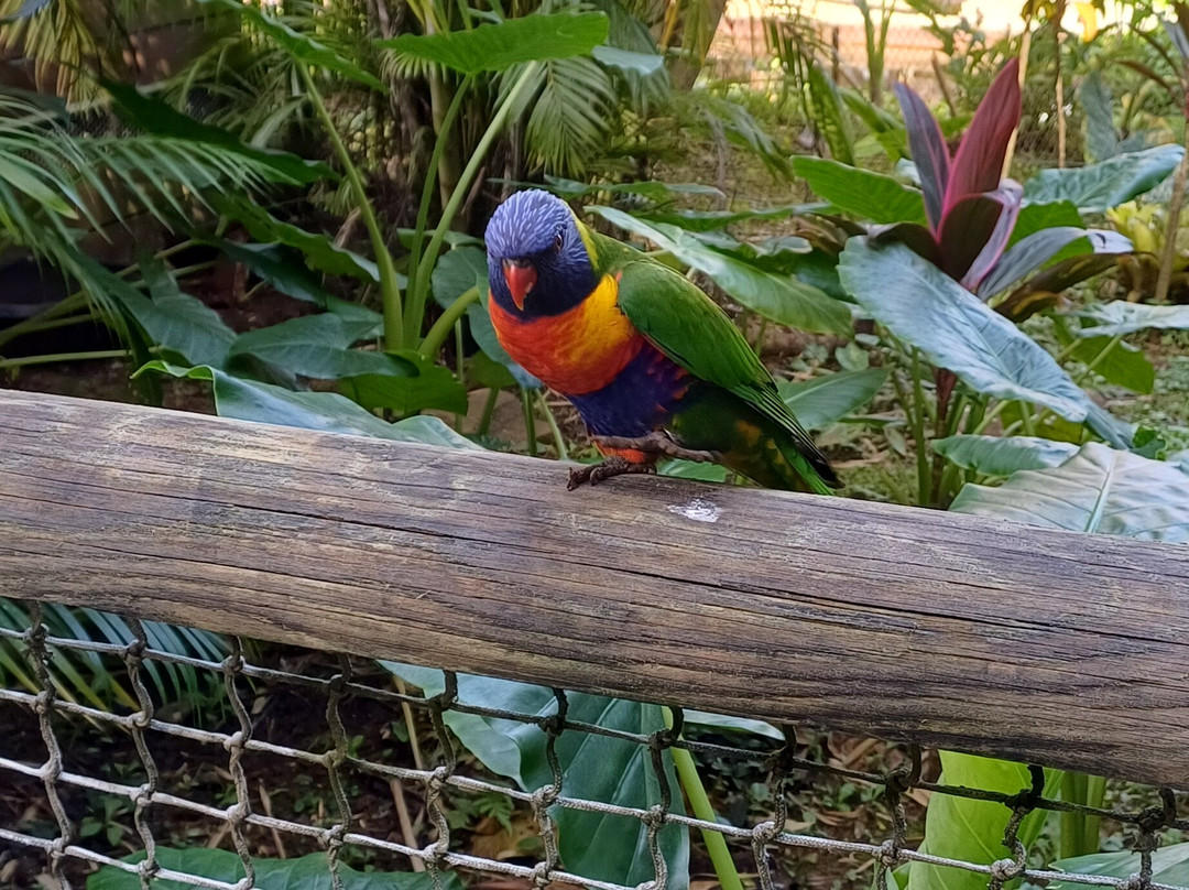 Jardin Botanique de Valombreuse-Petit-Bourg必去景点