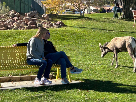 Hemenway Park-博尔德城必去景点