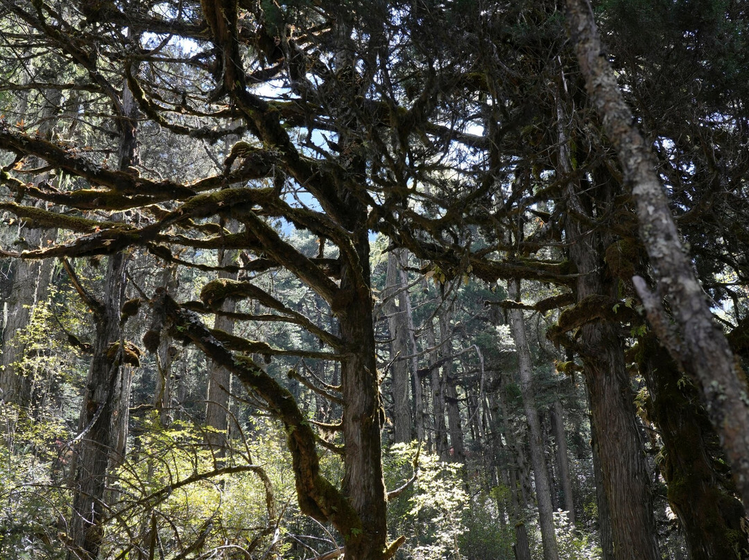 Touren Nepal Treks-Budhanilkantha必去景点