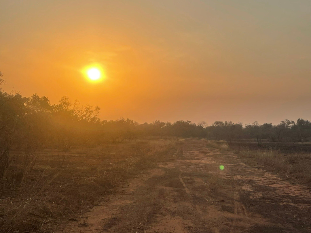 Adventure Birding Tours-特马必去景点