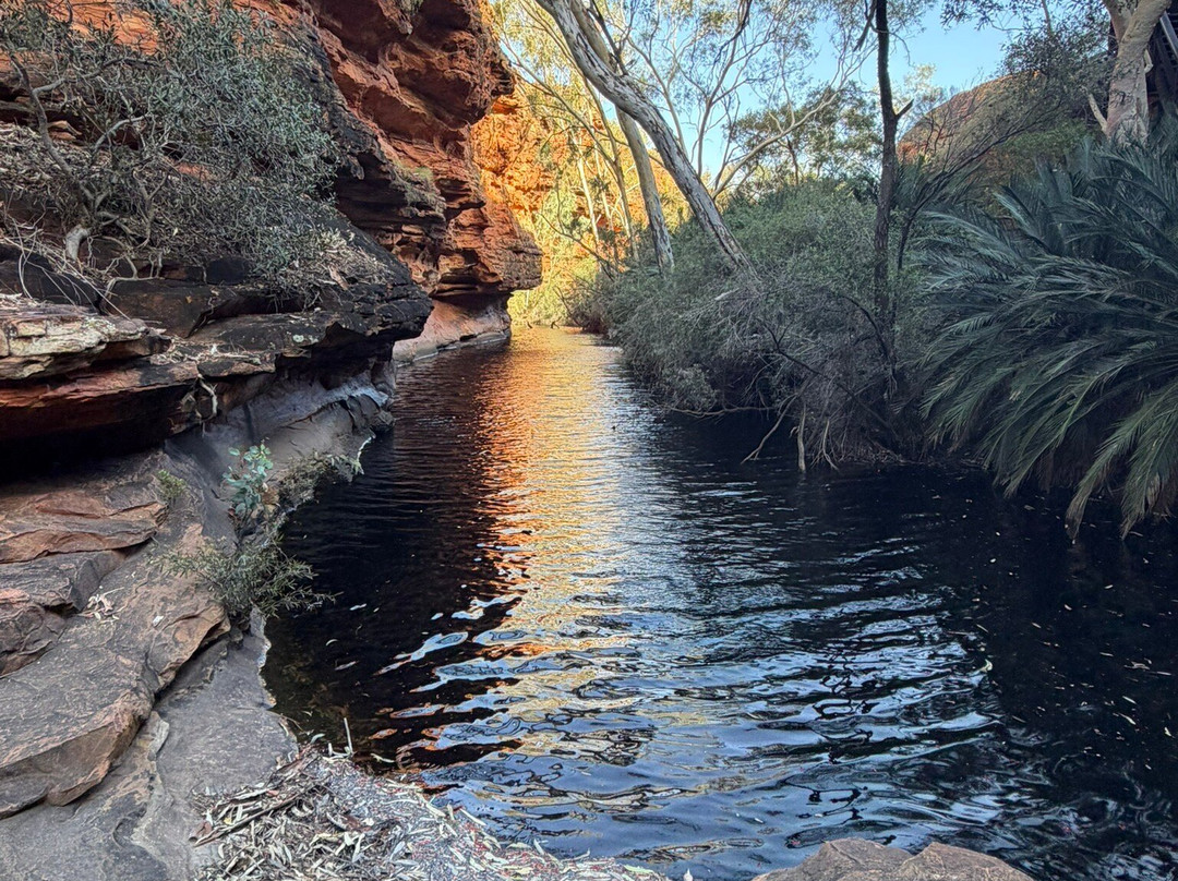 Sightseeing Tours Australia-墨尔本必去景点