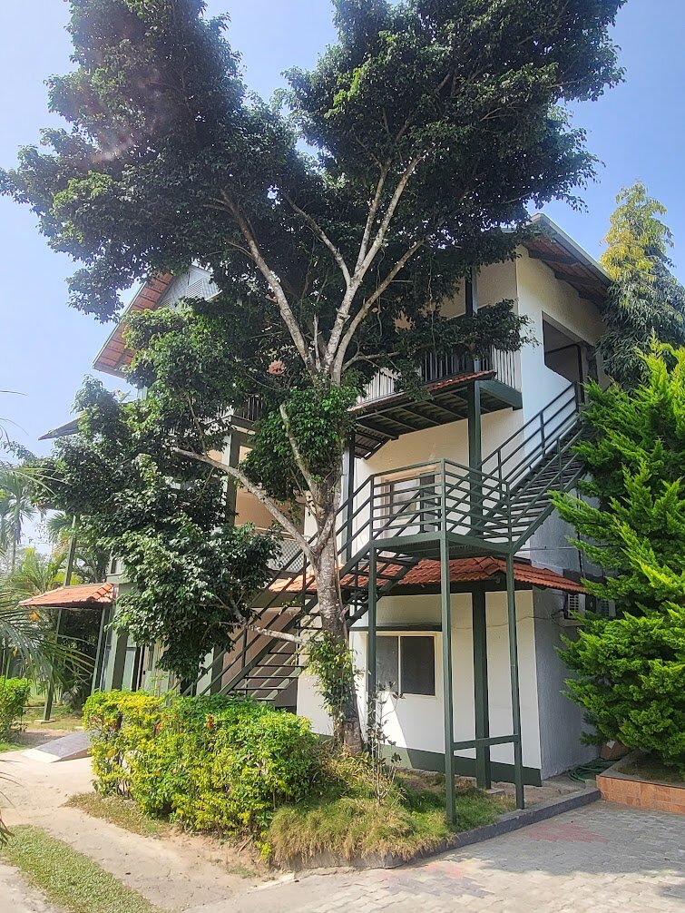 Palm Era Resorts-浴室