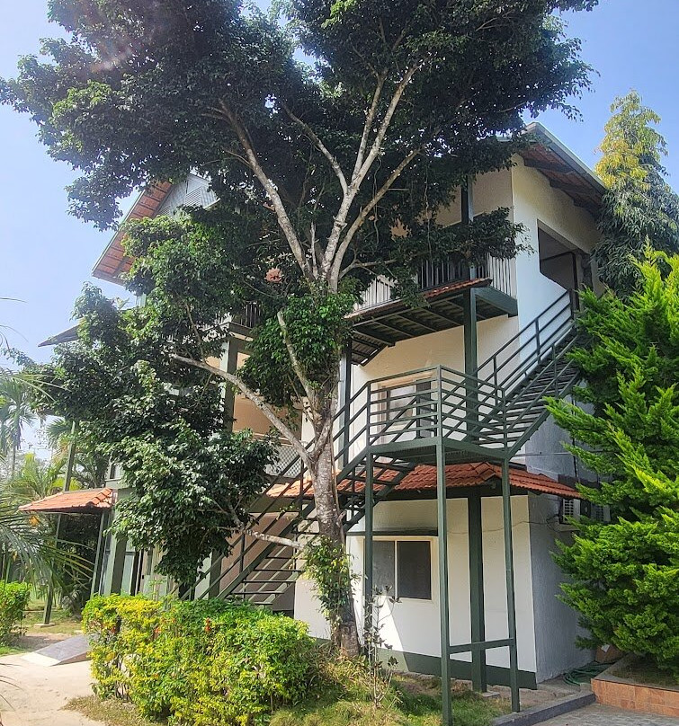 Palm Era Resorts主图